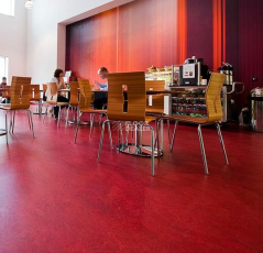 Forbo Marmoleum Decibel on Order 327335 ruby фото 2 | FLOORDEALER